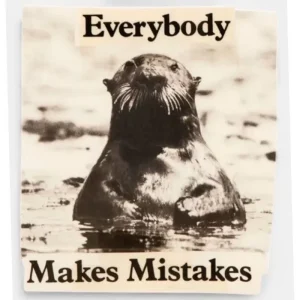 Autocolantes Baker Everybody Makes Mistakes