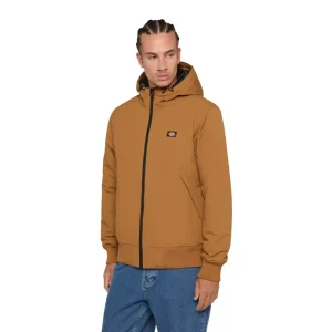 Casaco Dickies New Sarpy - Brown Duck