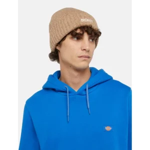 Gorro Dickies Harlowtown - Desert