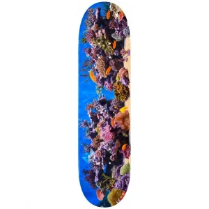 Mini Logo Fish Tank Skateboard Deck 7.75"